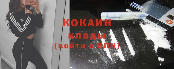 стафф Покачи