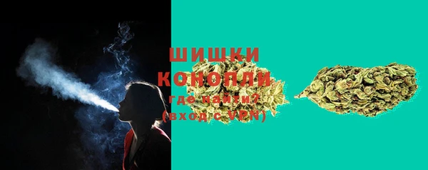 стафф Покачи