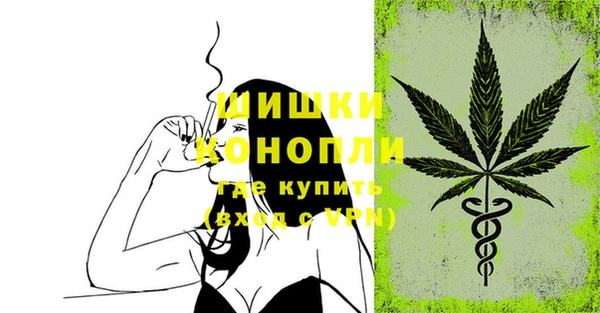 стафф Покачи
