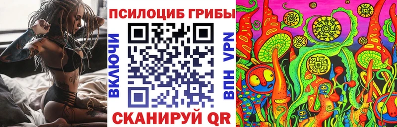 Галлюциногенные грибы прущие грибы  закладка  Порхов 
